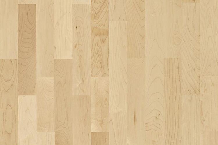 Érable canadien Activity Floor